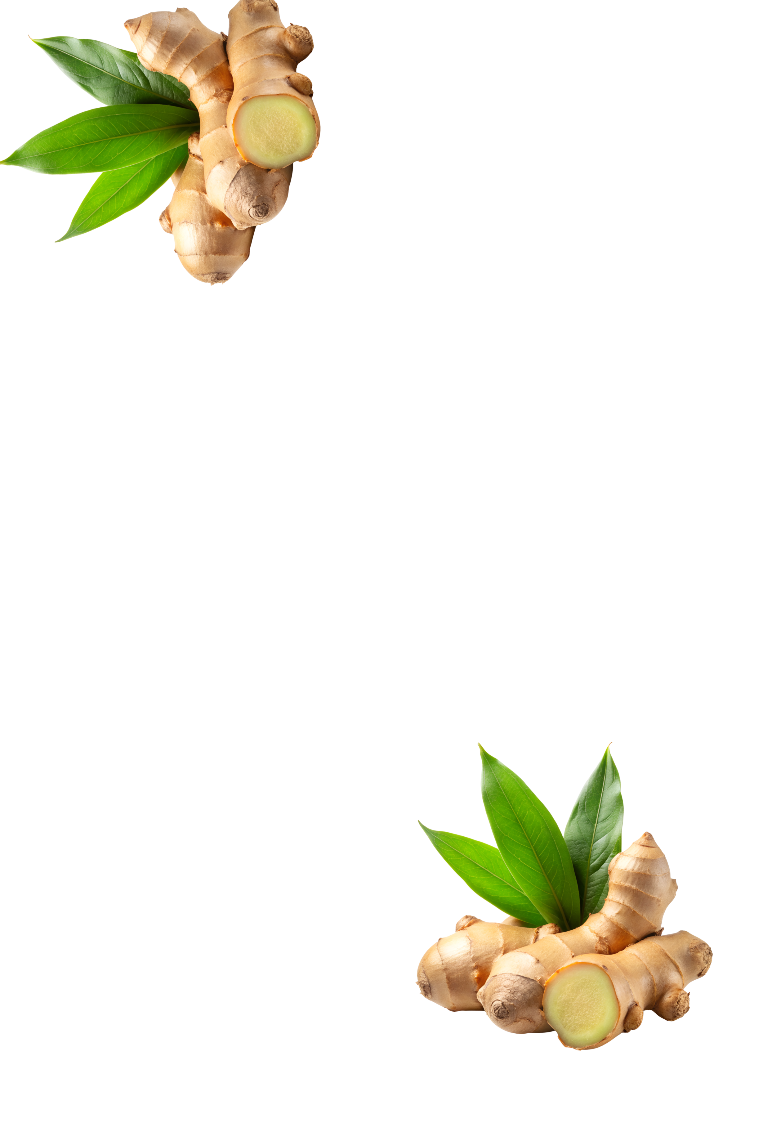 Berbere Left